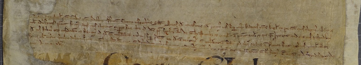 Charter of King John establishing a committee of eight