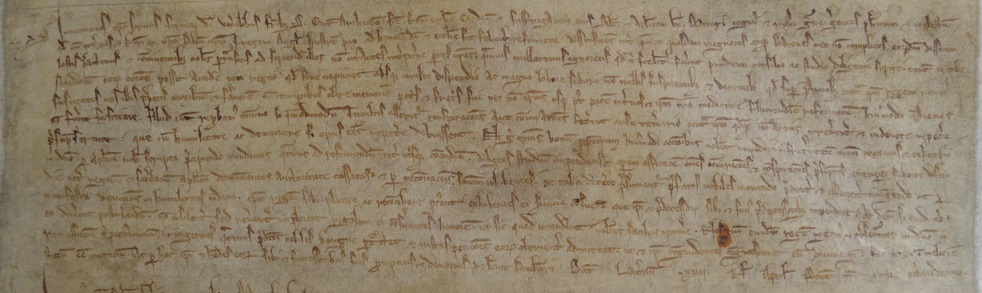 Letters of the Pope to Stephen archbishop of Canterbury and his suffragans